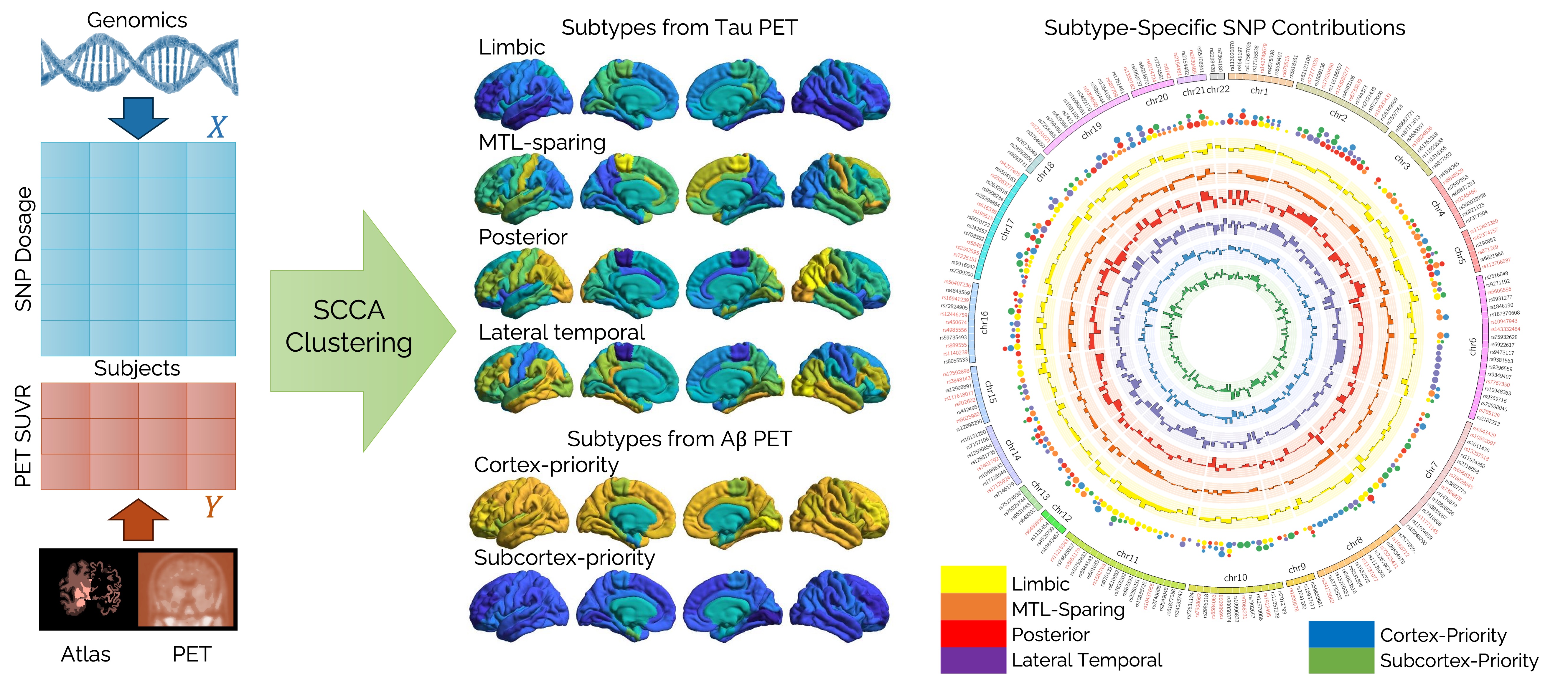 Imaging-Genetics